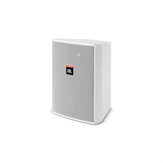 Control 25 - Compact Indoor Outdoor Background Foreground Loudspeaker