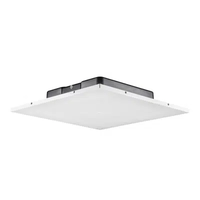 Imagem para JBL-LCT 81C/TM Low-Profile Lay-In 600 mm x 600 mm Metric Ceiling Tile Loudspeaker with 200 mm (8 in) Driver}