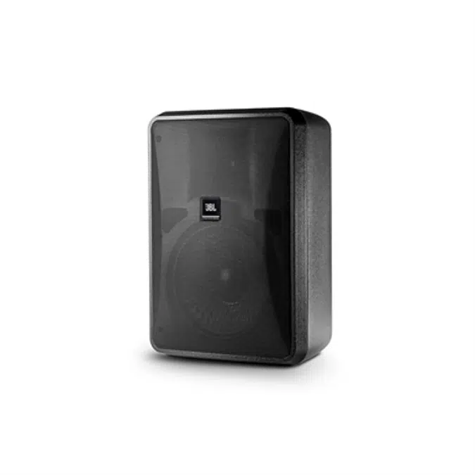 Control 28-1 High Output Indoor/Outdoor Background/Foreground Speaker