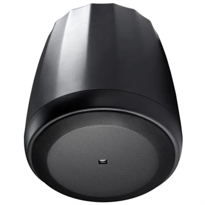 Control 67 P/T - Extended Range Full-Range Pendant Speaker