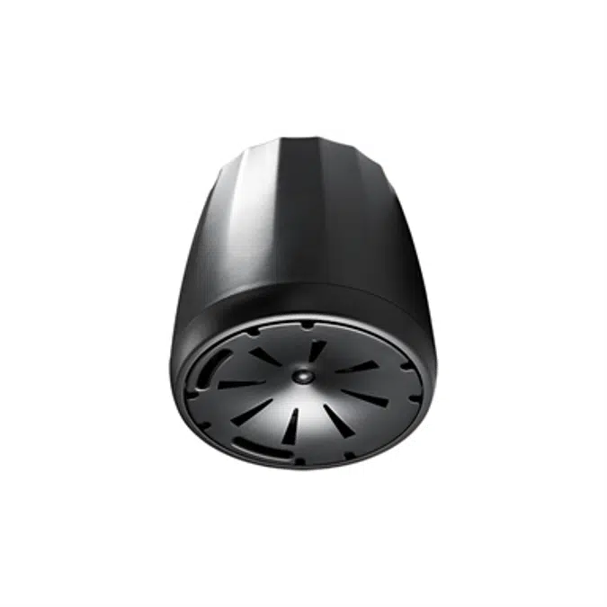 Control 67 P/T - Extended Range Full-Range Pendant Speaker