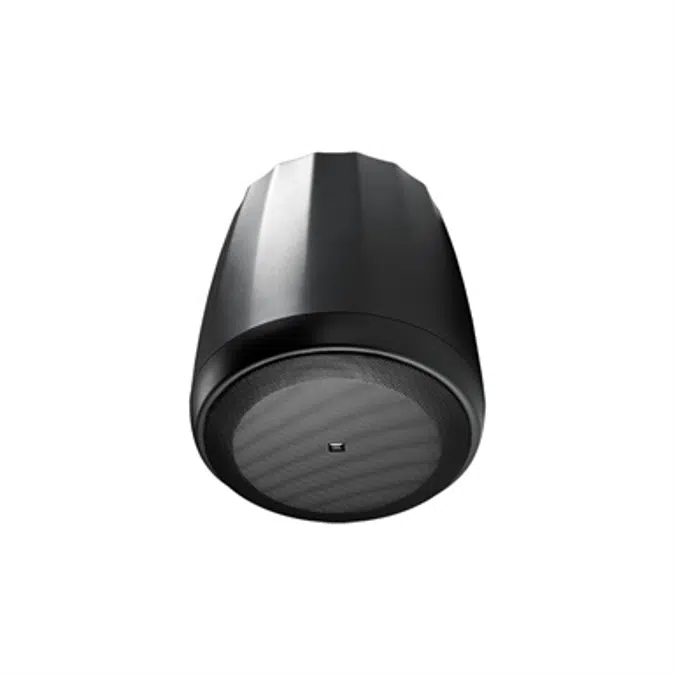 Control 67 P/T - Extended Range Full-Range Pendant Speaker