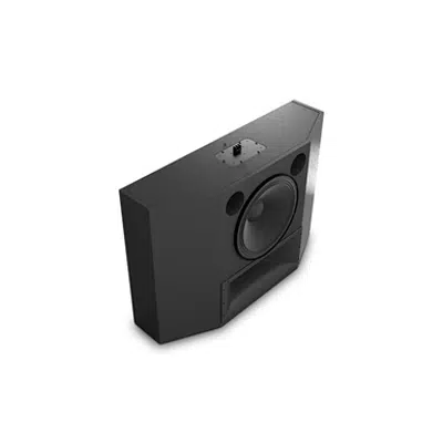 imagem para C211 Two-Way ScreenArray® Cinema Loudspeaker