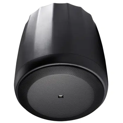 画像 Control 60PS/T - Pendant Subwoofer with Crossover