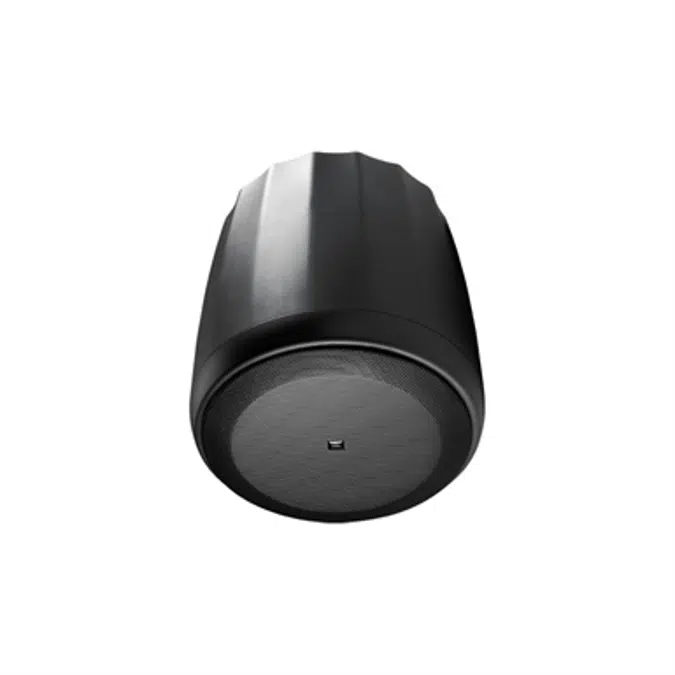 Control 60PS/T - Pendant Subwoofer with Crossover