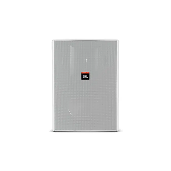 Control 28 - High Output Indoor Outdoor Background Foreground Loudspeaker