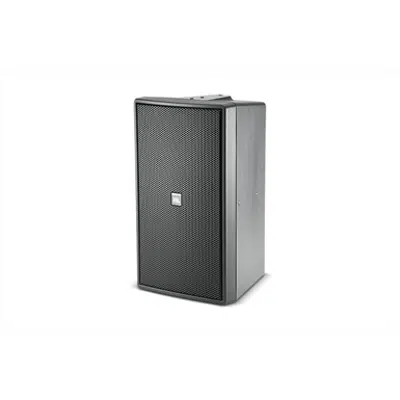 bild för Control 29AV-1 - Premium Indoor / Outdoor Monitor Speaker