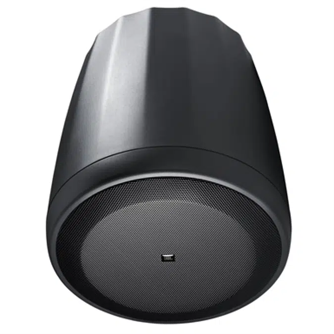 Control 65 P/T - Compact Full-Range Pendant Speaker