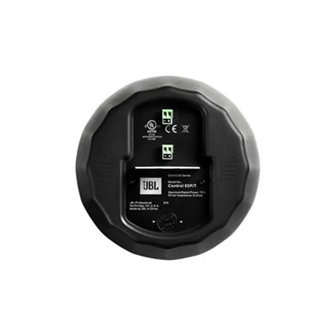 Control 65 P/T - Compact Full-Range Pendant Speaker