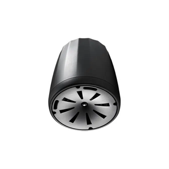 Control 65 P/T - Compact Full-Range Pendant Speaker