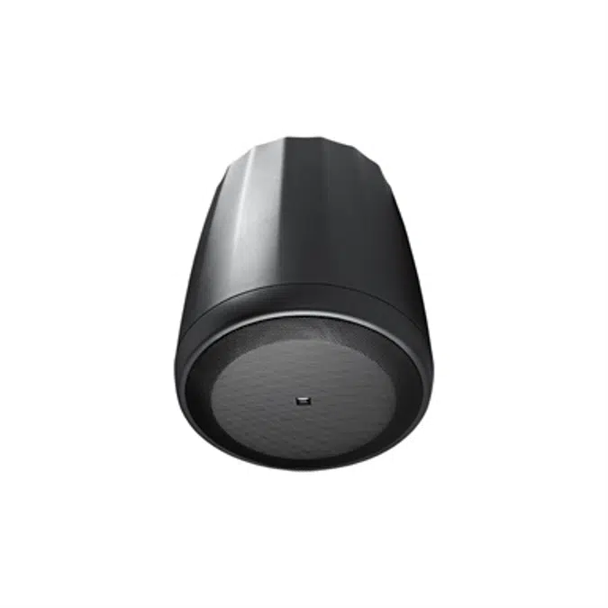 Control 65 P/T - Compact Full-Range Pendant Speaker