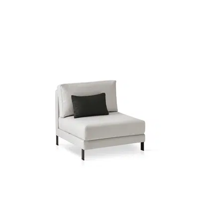 Image for Slim central module