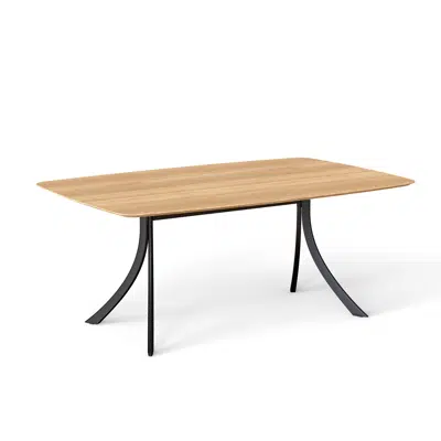 Image pour Falcata indoor rectangular dining table 180x115x75
