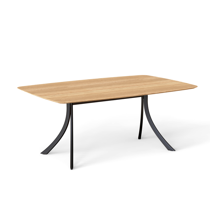 Falcata indoor rectangular dining table 180x115x75