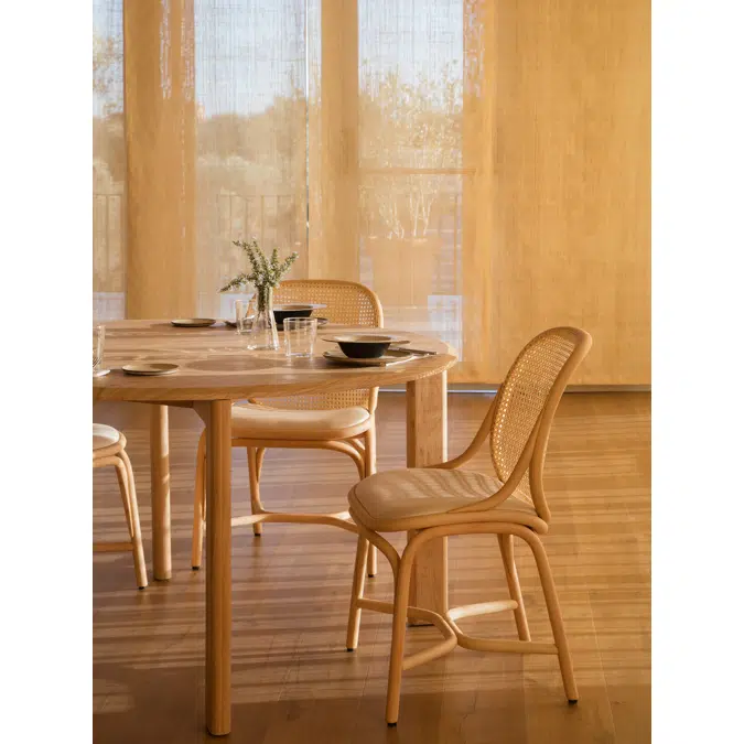 Frames upholstered dining chair