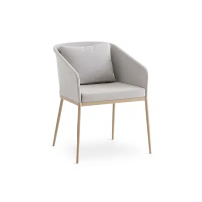 画像 Senso chairs dining armchair C190