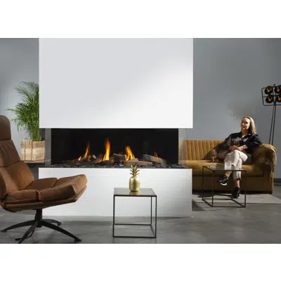Summum 140 3S Fireplace图像