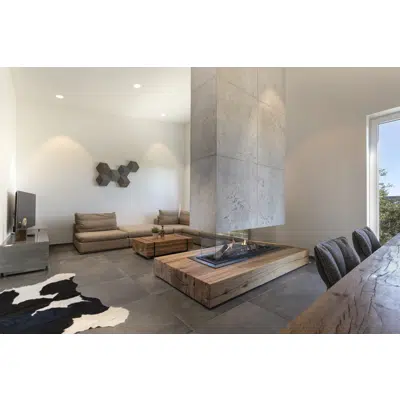 Summum 140 4S Fireplace图像