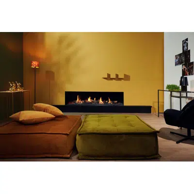 Summum 190 Front Fireplace图像