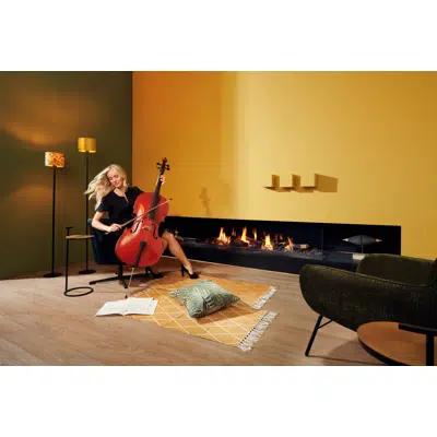 Summum 190 3S Fireplace图像