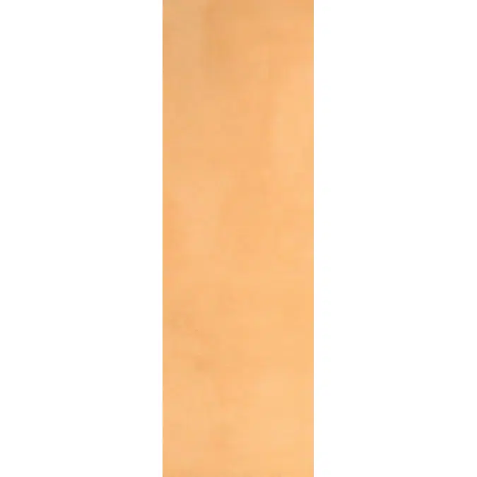 TIGER DECOR Color Skim Coat (OR03)