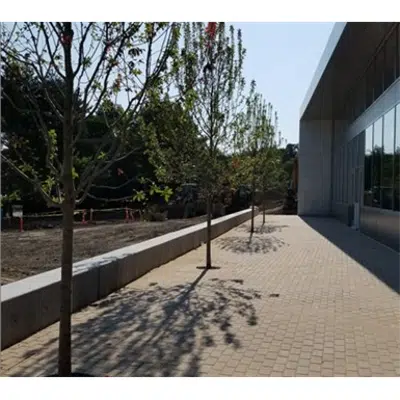 imazhi i Tree Grates