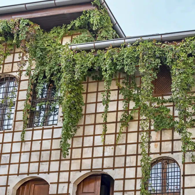 Seismic Coat Sismagrid