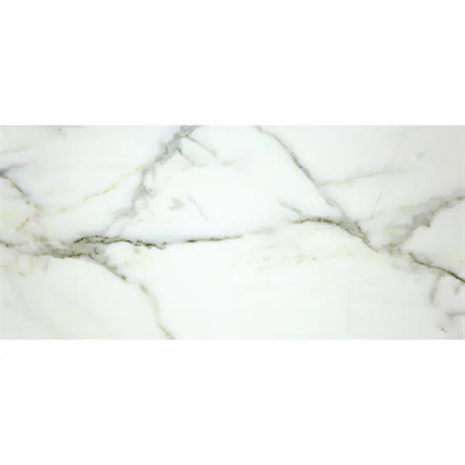 Stone Tile. Calacatta White 