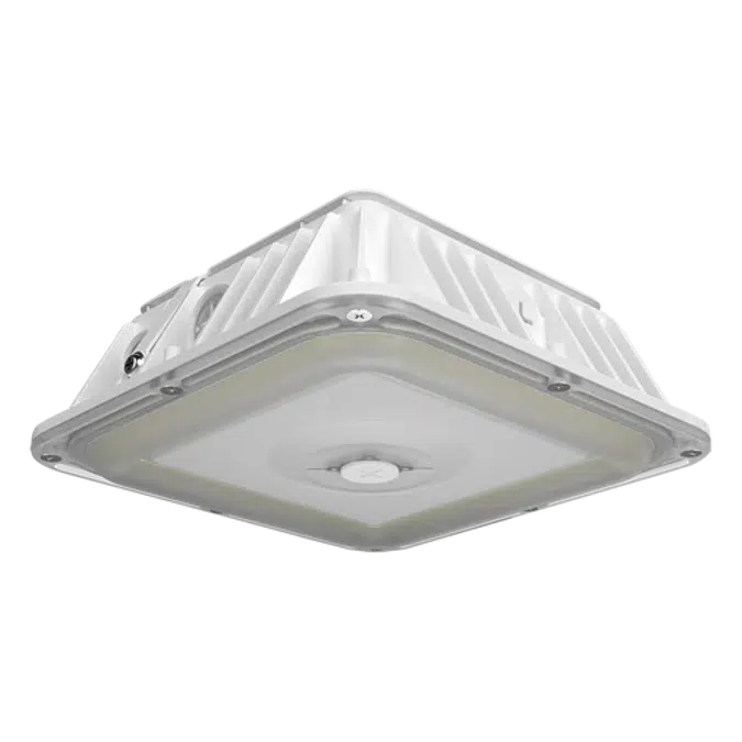 VAN17 3-Way Adjustable Canopy Light