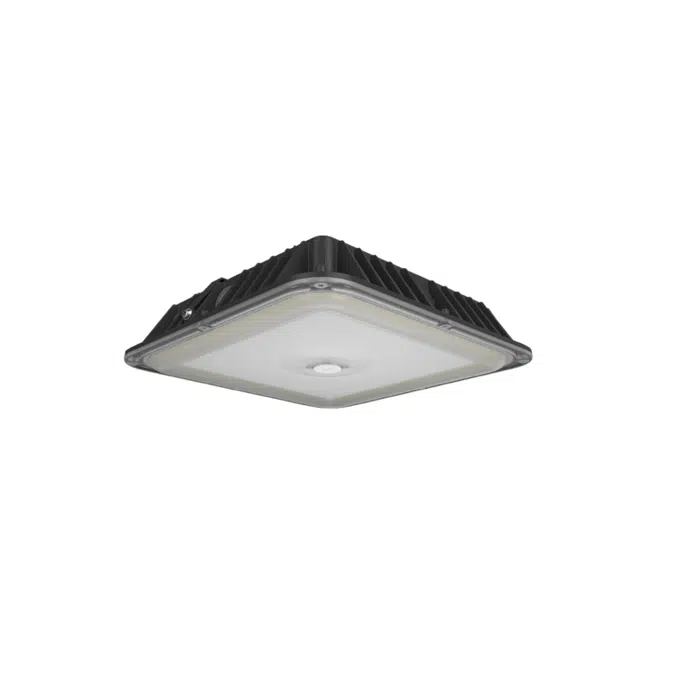 VAN17 3-Way Adjustable Canopy Light