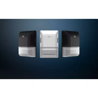 изображение для BRISK17 Field-Adjustable Ultra-Economy Wall Pack Entry Light