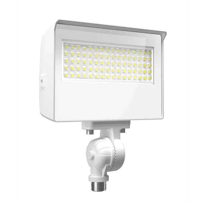 X22 5-Way Selectable LED Floodlight