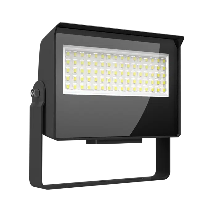 X22 5-Way Selectable LED Floodlight