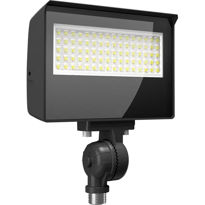 X22 5-Way Selectable LED Floodlight