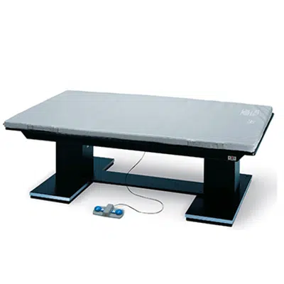 Image pour Hausmann Industries 1449-57 Table Platform Powermatic Dual Lift