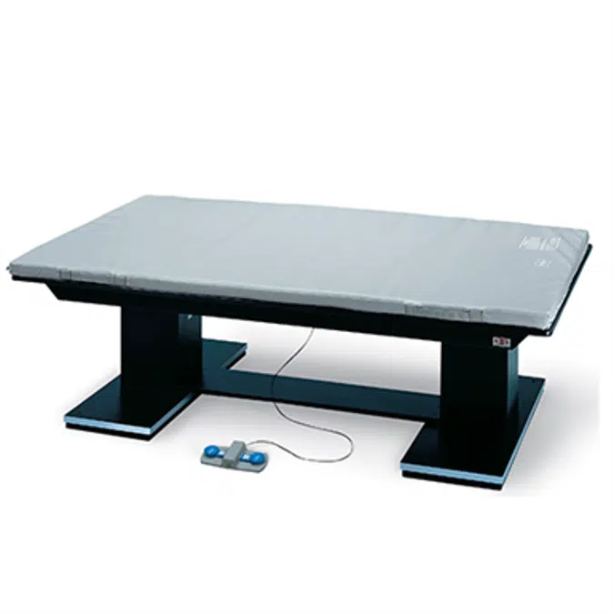 Hausmann Industries 1449-57 Table Platform Powermatic Dual Lift