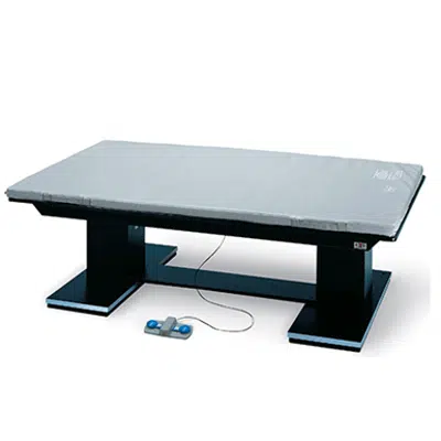 Image for Hausmann Industries 1449-57 Table Platform Powermatic Dual Lift
