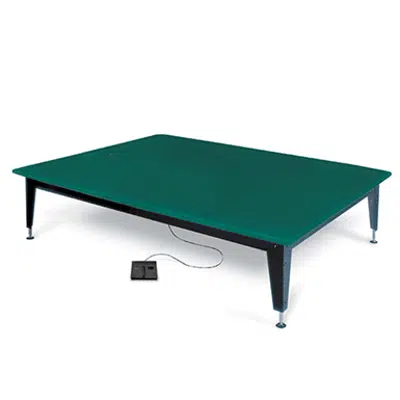 Imagem para Hausmann Industries 1427-47 Bariatric Mat Lift Platform}