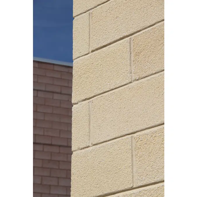 Architectural Masonry Units - Rustic Face