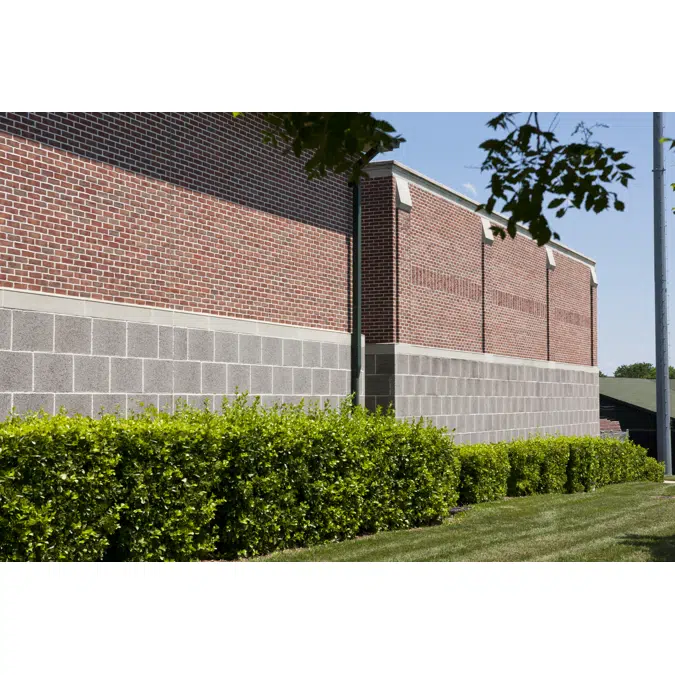 Architectural Masonry Units - Rustic Face