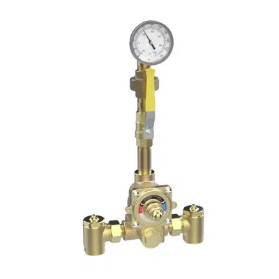 Image for 6725 Piped Thermometer Ball Valve Union