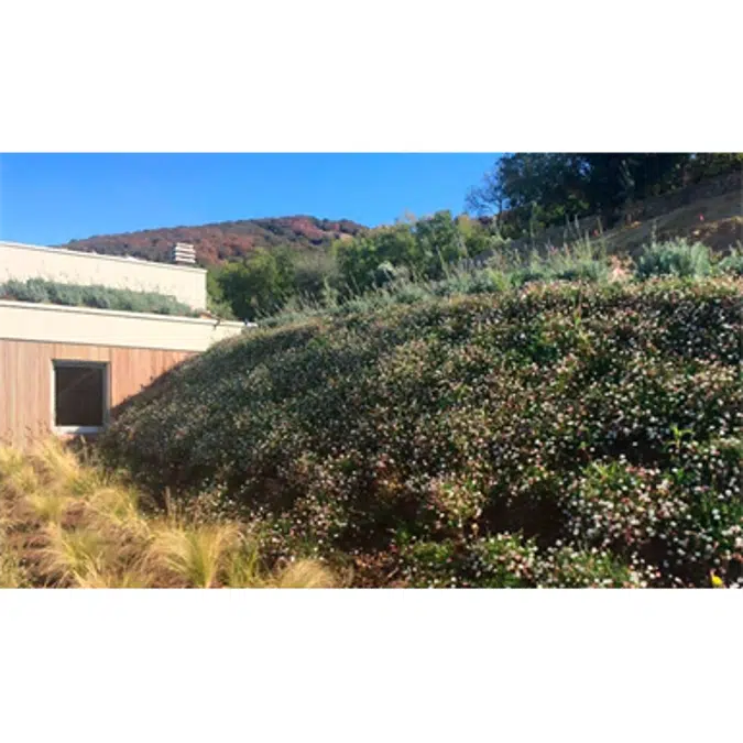 Intensive Hanging Greenery Slope