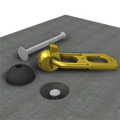 Image for T-Lock Anchors (Support Collapsed And Hoisting)
