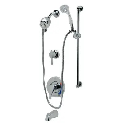 Image pour Z7302-SS-MT-DV2P-HW Temp-Gard® III Tub and Shower Unit
