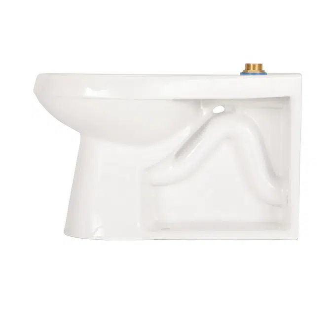 Z5645-BWL ADA Floor-mounted Back outlet Flush Valve Toilet
