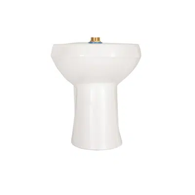 Image for Z5645-BWL ADA Floor-mounted Back outlet Flush Valve Toilet