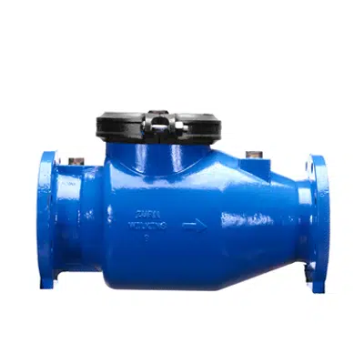 Obrázek pro Wilkins 310 Detector Check Valve