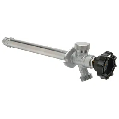 imagen para Z1345 Anti-Siphon Wall Faucet