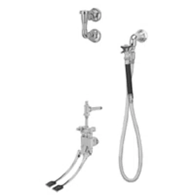 Image for Z85500-XL-WM-EVB-HK-SE-SH2-VC Wall Mounted Double Pedal Bedpan Washer with 1/2" NPT Angle Stop Inletes and Elevated Vacuum Breaker.