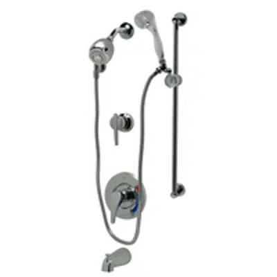 Z7302-SS-MT Temp-Gard III Tub and Shower Unit图像